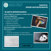 Інформаційні зустрічі зі студентами щодо протидії вербуванню та інформаційної безпеки