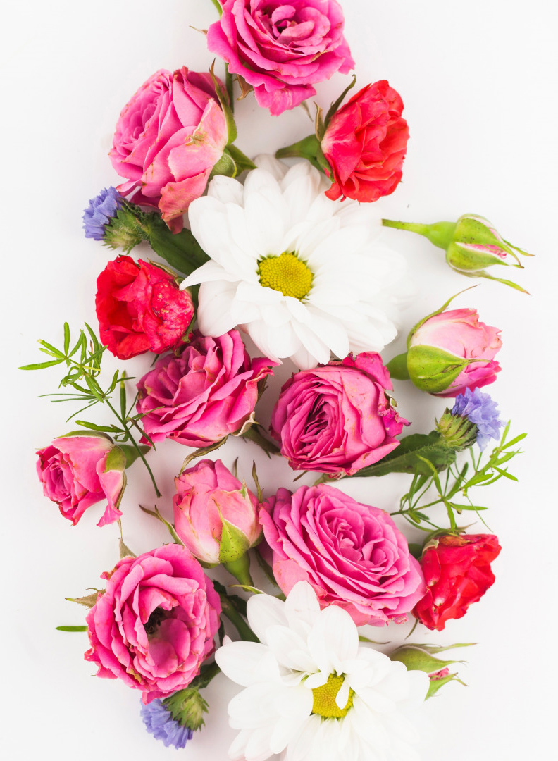 tsvety rozy belyi fon flowers buket